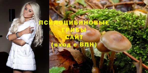 спиды Алексеевка