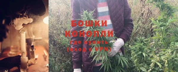 дурь Алзамай