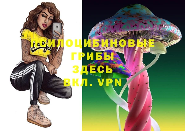 спиды Алексеевка