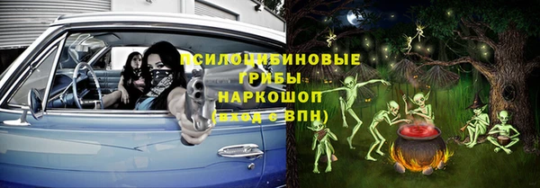герыч Алексин