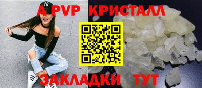 индика Гусев