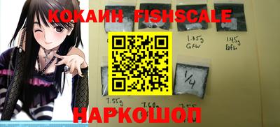 индика Гусев