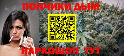 индика Гусев