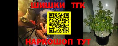 тгк Гусь-Хрустальный