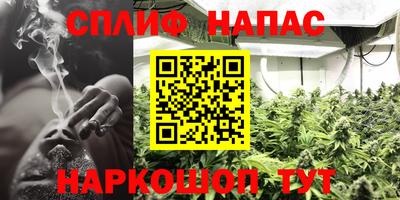 индика Гусев