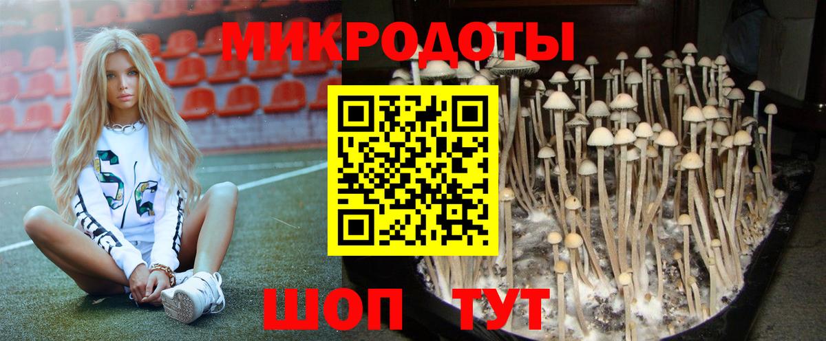 Псилоцибиновые грибы прущие грибы Муравленко